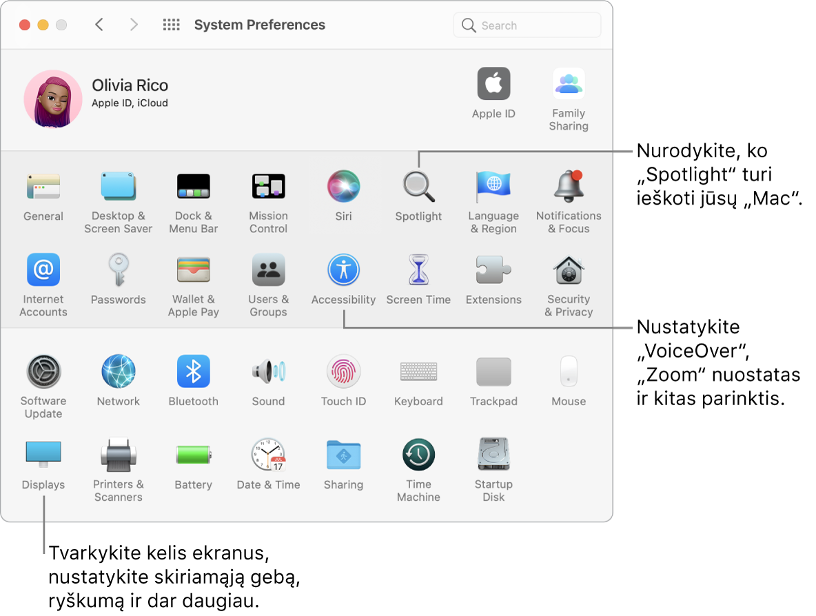 Langas „System Preferences“. Pateikiamos „Spotlight“, „Accessibility“ ir „Displays“ nuostatos.