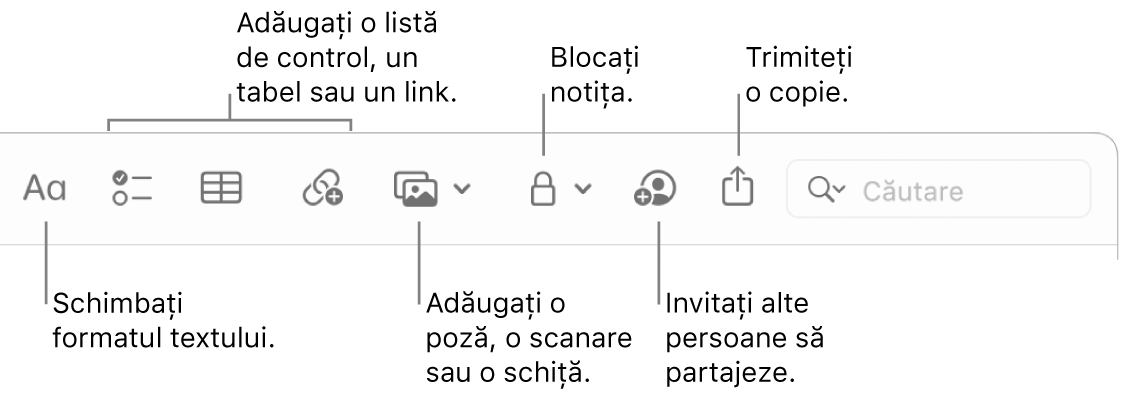 Bara de instrumente Notițe, cu explicații pentru formatarea textului, listă de control, tabel, link, poze/conținut multimedia, blocare, partajare și instrumentele pentru trimiterea unei copii.