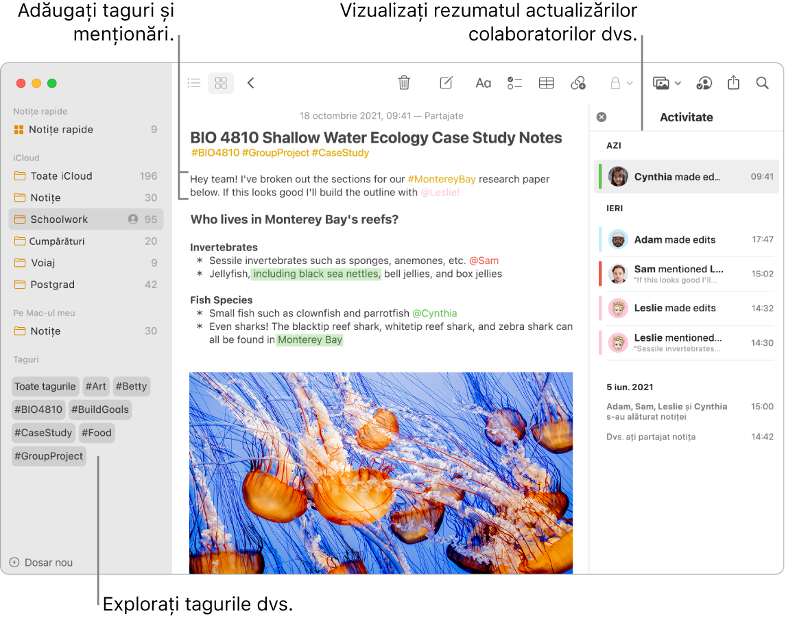 O fereastră Notițe în vizualizarea în galerie cu o explicație pentru tagurile din bara laterală. În notița principală, există o explicație pentru un tag și o menționare. În dreapta se află o listă de activități cu o explicație pentru vizualizarea unui rezumat al actualizărilor.