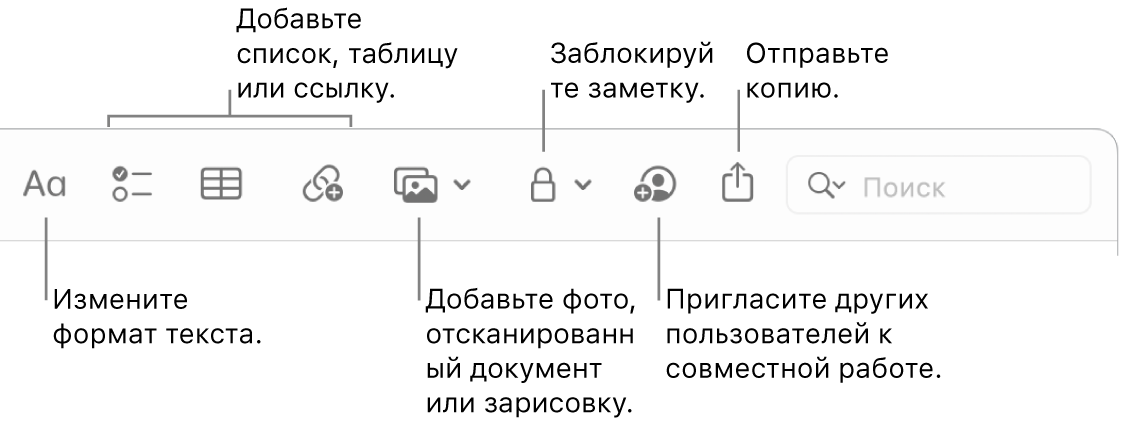 Панель инструментов в приложении «Заметки». Выносками отмечены инструменты форматирования, добавления списка, таблицы, ссылки, мультимедиа, кнопка для установки пароля, кнопка «Поделиться» и кнопка «Отправить копию».