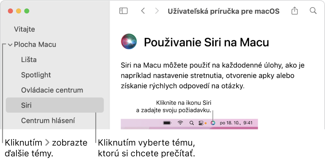 Prehliadač Pomocníka znázorňujúci spôsob zobrazenia tém z postranného panela a spôsob zobrazenia obsahu témy.