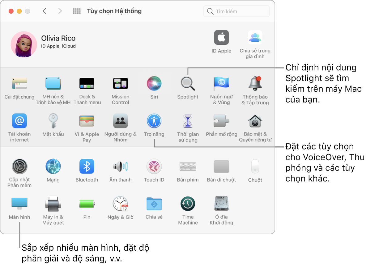 Cửa sổ Tùy chọn hệ thống, với các chú thích đến tùy chọn Spotlight, Trợ năng và Màn hình.