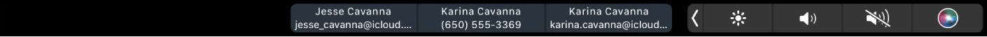 Touch Bar FaceTime đang hiển thị các nút để lấy thông tin về một liên hệ.