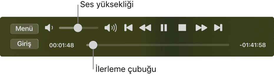 Sol üst bölümde ses yüksekliği sürgüsü ve alt kısımda zaman ekseninin olduğu DVD Oynatıcı oynatma denetimleri. Filmde farklı bir yere gitmek için zaman eksenindeki ilerleme tutamağını sürükleyin.