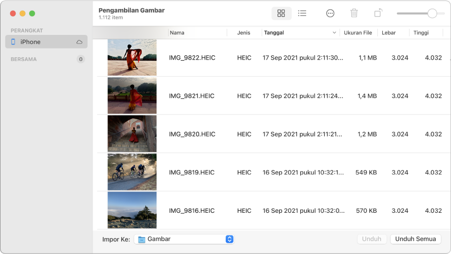 Jendela Pengambilan Gambar menampilkan gambar yang akan diimpor dari iPhone.