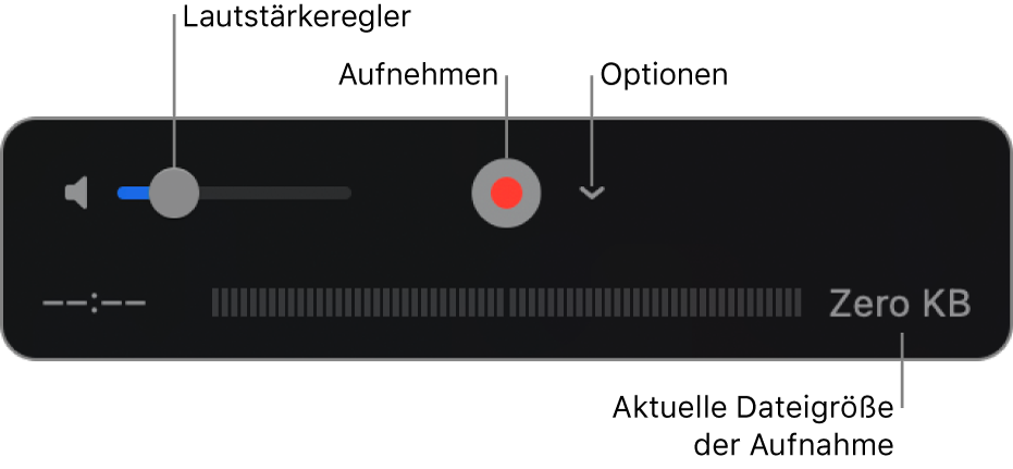 Aufnahmensteuerungen einschließlich Lautstärkeregler, Aufnahmetaste und Einblendmenü „Optionen“