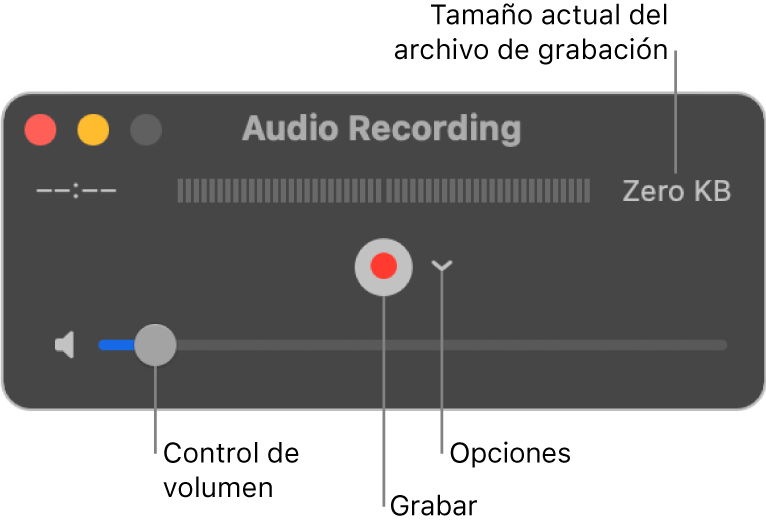 La ventana "Grabación de audio" con el botón Grabar, el menú desplegable Opciones en el centro de la ventana y el control de volumen en la parte inferior.