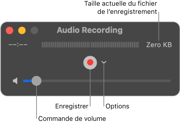 La fenêtre d’enregistrement audio avec le bouton Enregistrer et le menu local Options au centre de la fenêtre, et le contrôle du volume en bas.