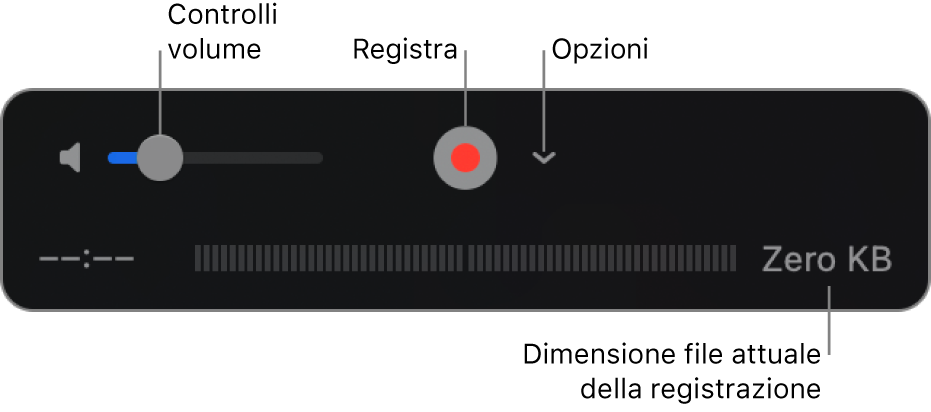 Controlli di registrazione che includono il controllo del volume, il pulsante Registra e il menu a comparsa Opzioni.