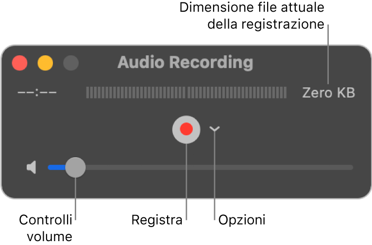 Finestra di “Registrazione audio” con il pulsante Registra e il menu a comparsa Opzioni al centro della finestra e il controllo del volume nella parte inferiore.