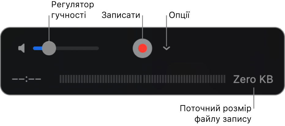 Елементи керування записом, в тому числі елементи керування гучністю, кнопка «Записати» і спливне меню «Параметри».