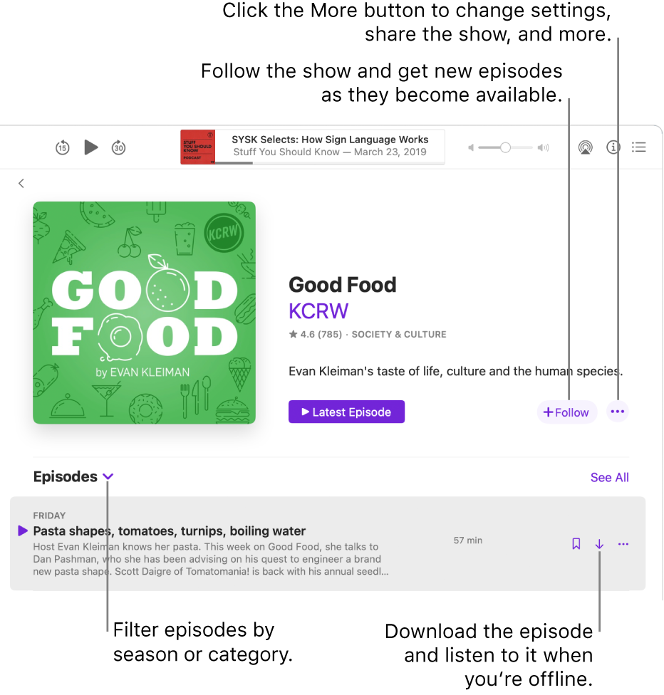 An information page for a podcast. Click Follow to get new episodes as they become available. Click the More button to change settings, share the show, and more. Filter episodes by season or category. Download the episode if you want to listen to it when you’re not connected to the internet.