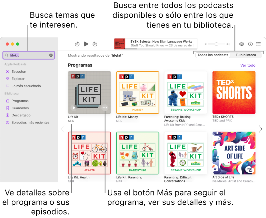 La ventana Podcasts mostrando el texto ingresado en el campo de búsqueda en la esquina superior izquierda, y los episodios y programas que concuerdan con la búsqueda de todos los podcasts en la pantalla de la derecha. Haz clic en el enlace debajo del programa para ver los detalles sobre el programa y sus episodios. Usa el botón Más del programa para seguir al programa, cambiar su configuración y más.