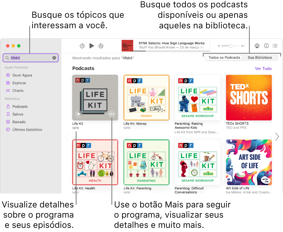 Janela do app Podcasts mostrando texto digitado no campo de busca no canto superior esquerdo, além de episódios e podcasts que correspondem à busca de todos os podcasts na tela à direita. Clique no link abaixo do podcast para visualizar detalhes sobre o podcast e seus episódios. Use o botão Mais do podcast para segui-lo, alterar ajustes e muito mais.