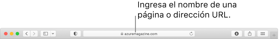 El campo de búsqueda inteligente de Safari, en donde puedes ingresar el nombre de una página o un URL.