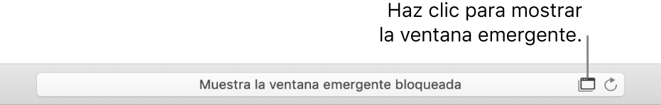 El campo de búsqueda inteligente con un icono a la derecha para permitir ventanas emergentes.