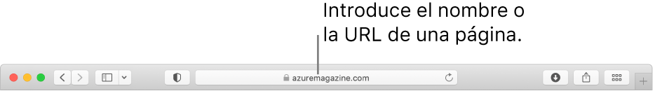 El campo de búsqueda inteligente de Safari, donde puedes escribir el nombre o la URL de una página.