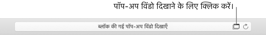 पॉप-अप विंडो की अनुमति के लिए दाईं ओर स्मार्ट खोज फ़ील्ड दिखाने वाला एक आइकॉन।