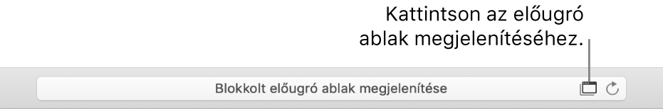 Az Intelligens keresési mező jobb oldalűn egy ikon látható a felugró ablakok megjelenítésének engedélyezéséhez.