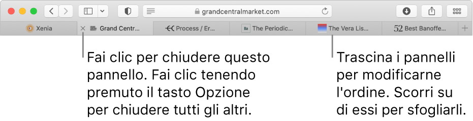 La finestra di Safari con pannelli.