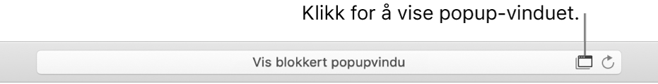 Det smarte søkefeltet viser et symbol til høyre for å tillate popupvinduer.
