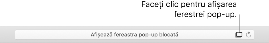 Câmpul de căutare inteligentă, afișând o pictogramă în partea dreaptă pentru a permite ferestrele pop-up.