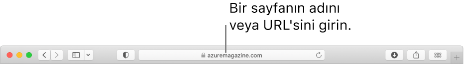 Safari araç çubuğunun ortasında bulunan Akıllı Arama alanı.