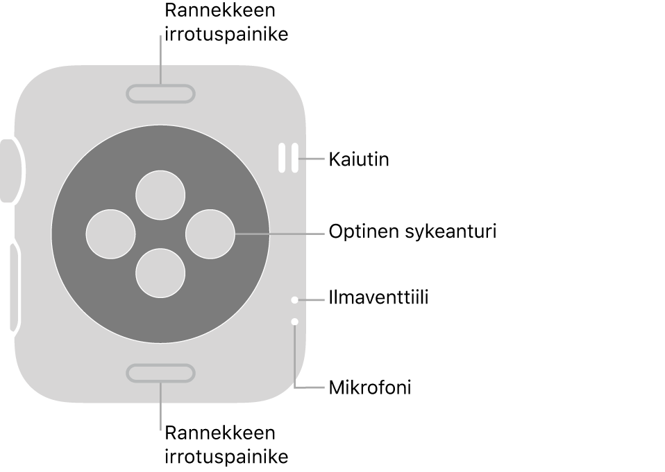 Apple Watch Series 3:n tausta, jossa on rannekkeen irrouspainikkeet ylhäällä ja alhaalla, optiset sykeanturit keskellä sekä kaiutin, ilmastointiaukko ja mikrofoni ylhäältä alas lähellä sivua.