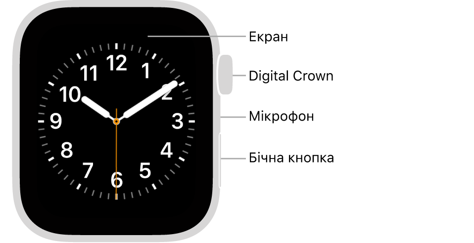 Передня панель Apple Watch Series 6 із відображенням циферблата на дисплеї та розташованими згори донизу коронкою Digital Crown, мікрофоном і бічною кнопкою на бічній панелі годинника.