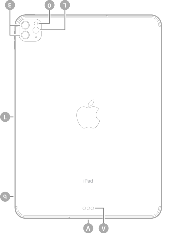عرض للجزء الخلفي من iPad Pro مع وسائل شرح للكاميرات الخلفية والفلاش في أعلى اليسار، وموصل Smart Connector و USB-C في أسفل الوسط، وحامل SIM (في طرز Wi-Fi + Cellular) في أسفل اليسار، والموصل المغناطيسي لـ Apple Pencil على اليسار.