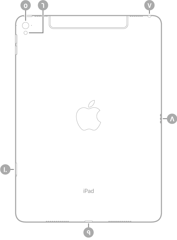 عرض للجزء الخلفي من iPad Pro مع وسائل شرح للكاميرا الخلفية والفلاش في أعلى اليسار، ومقبس سماعة الرأس في أعلى اليمين، وموصل Smart Connector على اليمين، وموصل Lightning في أسفل الوسط، وحامل SIM (في طرز Wi-Fi + Cellular) في أسفل اليسار.
