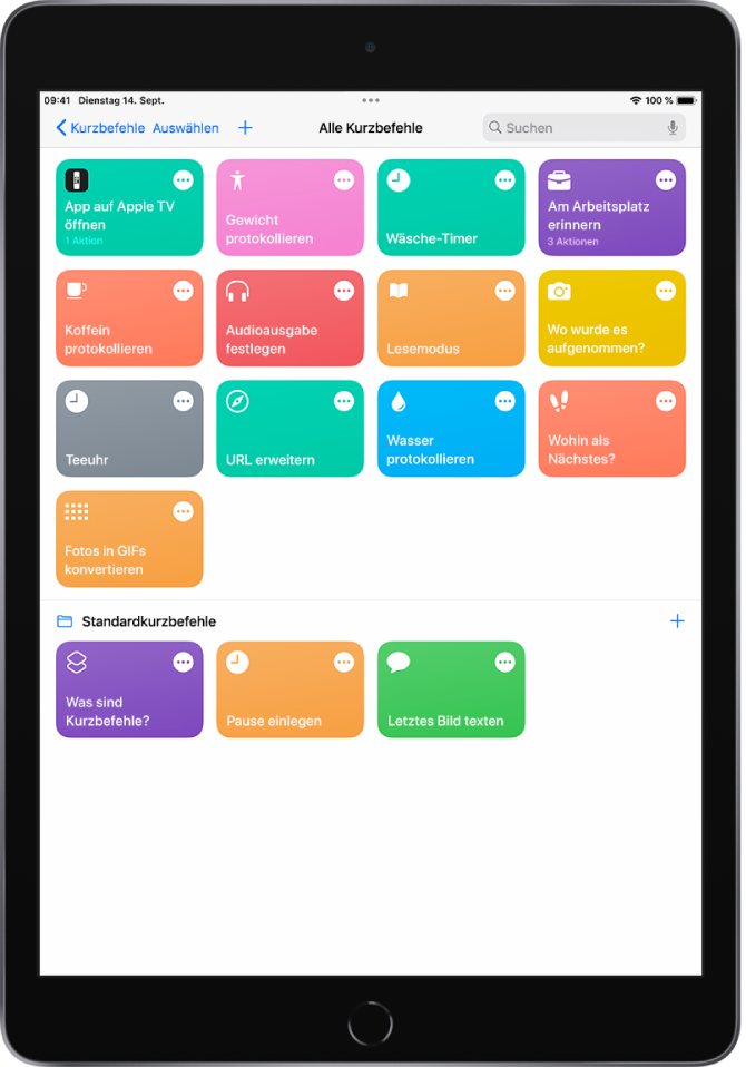 Der Tab „Meine Kurzbefehle“. Oben befindet sich ein Suchfeld. Darunter sind die Kurzbefehle zum Ausführen alltäglicher Aufgaben, etwa zum Erstellen einer PDF-Datei, Teilen deines Standorts und Einstellen eines Timers für die Wäsche. Unten befinden sich die Tabs „Automation“ und „Galerie“.