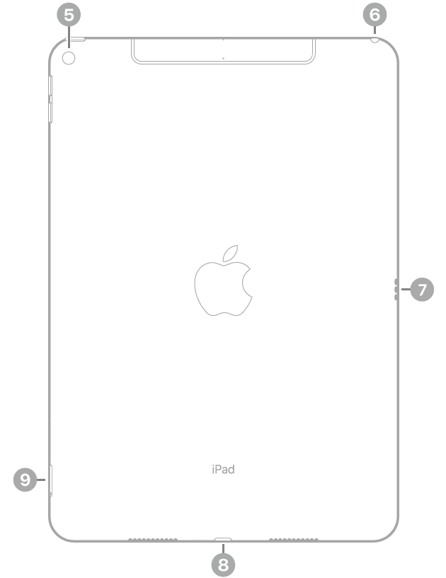 Die Rückansicht des iPad Air mit Hinweisen auf die rückwärtige Kamera oben links, den Kopfhöreranschluss oben rechts, den Smart Connector auf der rechten Seite, den Lightning Connector unten in der Mitte und das SIM-Fach (Wi-Fi + Cellular) unten links.