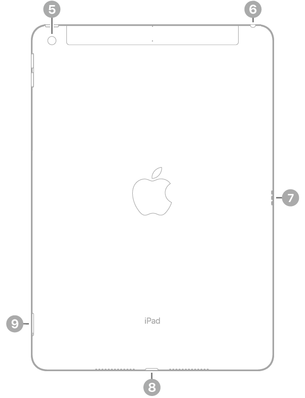 Vista posterior del iPad con textos sobre la cámara trasera en la parte superior izquierda, la toma de auriculares en la parte superior derecha, el Smart Connector a la derecha, el conector Lightning en la parte inferior central y la bandeja de la tarjeta SIM (Wi-Fi + Cellular) abajo a la izquierda.