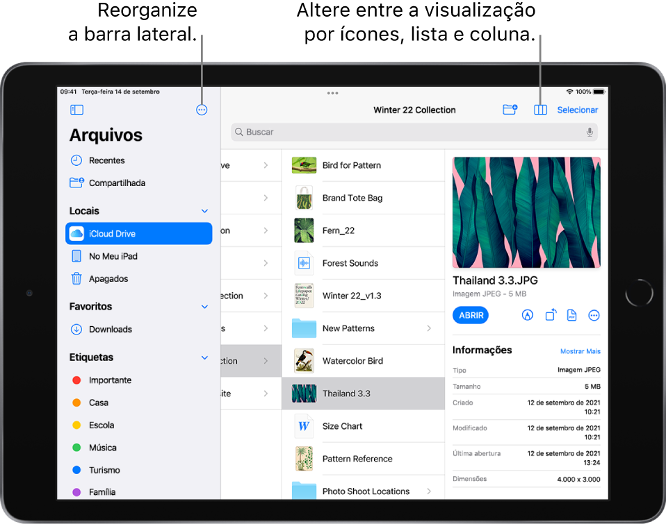 Local do iCloud Drive mostrando botões para reorganizar a barra lateral, para ordenar por Nome, Data, Tamanho e Etiquetas, e para alterar entre as visualizações por lista ou ícone.