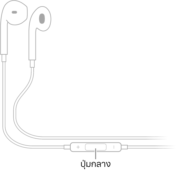 Apple EarPods ปุ่มกลางอยู่ที่สายนำไปสู่ตัวหูฟังด้านขวา