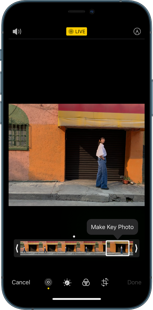 A Live Photo screen with the Live Photo in the center. The Live button is in the top middle, and the Sound button in the top left. Beneath the photo is the frame viewer with the Make Key Photo button active. On either end of the frame viewer are two arrows that allow you to trim the Live Photo.