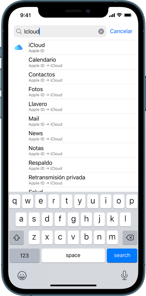 La pantalla de búsqueda de configuraciones con el campo de búsqueda en la parte superior. El campo de búsqueda tiene el término "iCloud" y debajo se muestran los resultados de búsqueda en una lista.