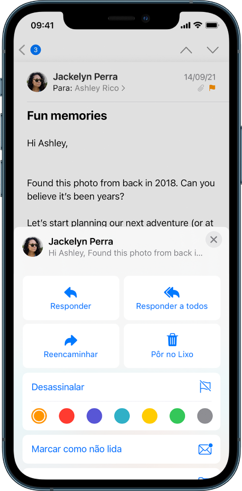 Um e-mail com opções de resposta por baixo. Por baixo dessas opções, estão as escolhas de cores para as bandeirinhas ou marcadores.
