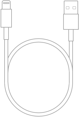 闪电转 USB 连接线。