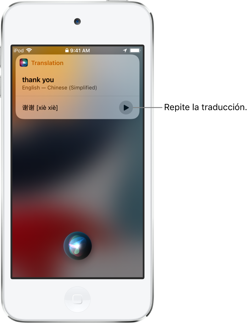 Siri muestra una traducción de la frase en inglés “thank you” al chino mandarín. En la parte inferior a la derecha de la traducción se encuentra un botón que vuelve a reproducir la traducción.