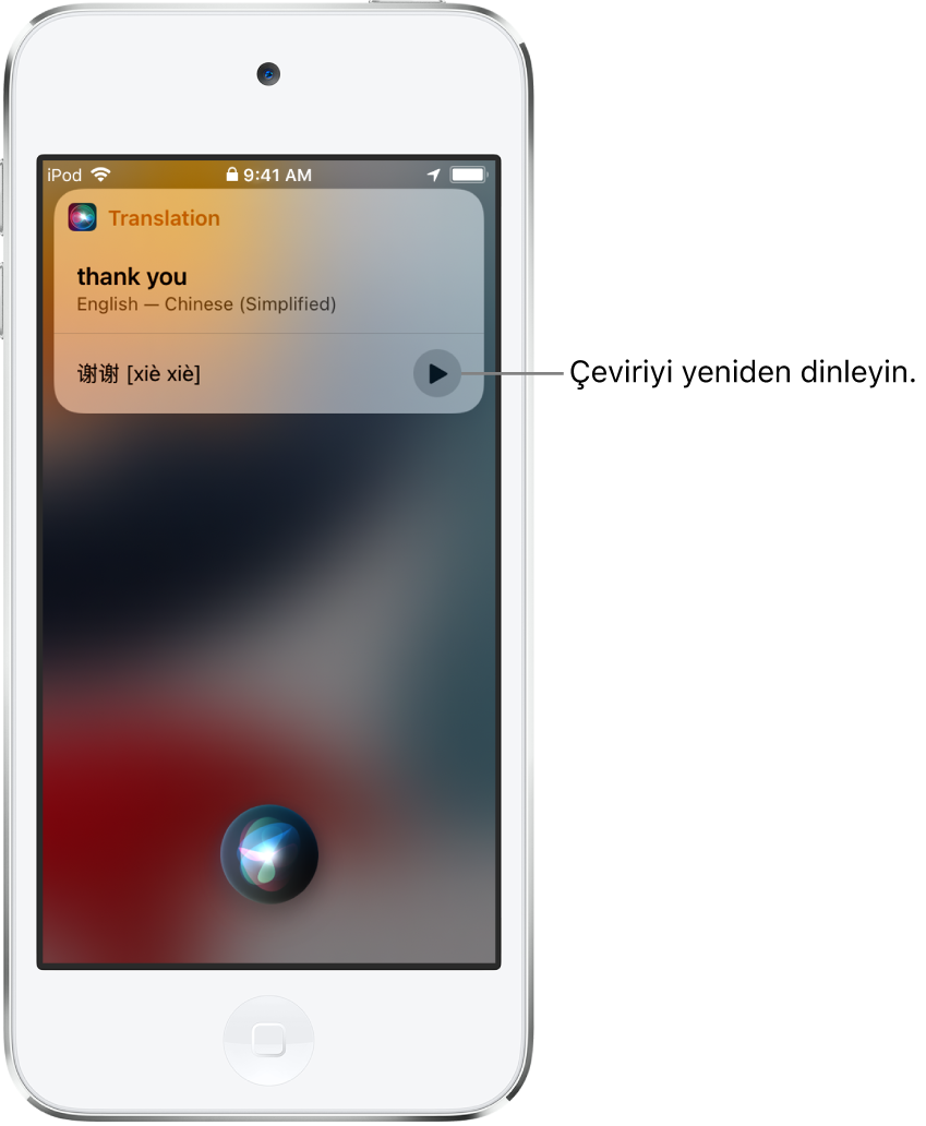 Siri, İngilizce “thank you” ifadesinin Mandarin çevirisini görüntülüyor. Çevirinin sağ tarafındaki bir düğme çeviriyi yeniden seslendirir.