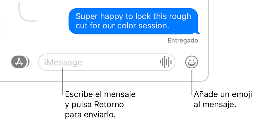 Una transcripción en la ventana de Mensajes, con el campo de mensaje mostrado en la parte inferior de la ventana.