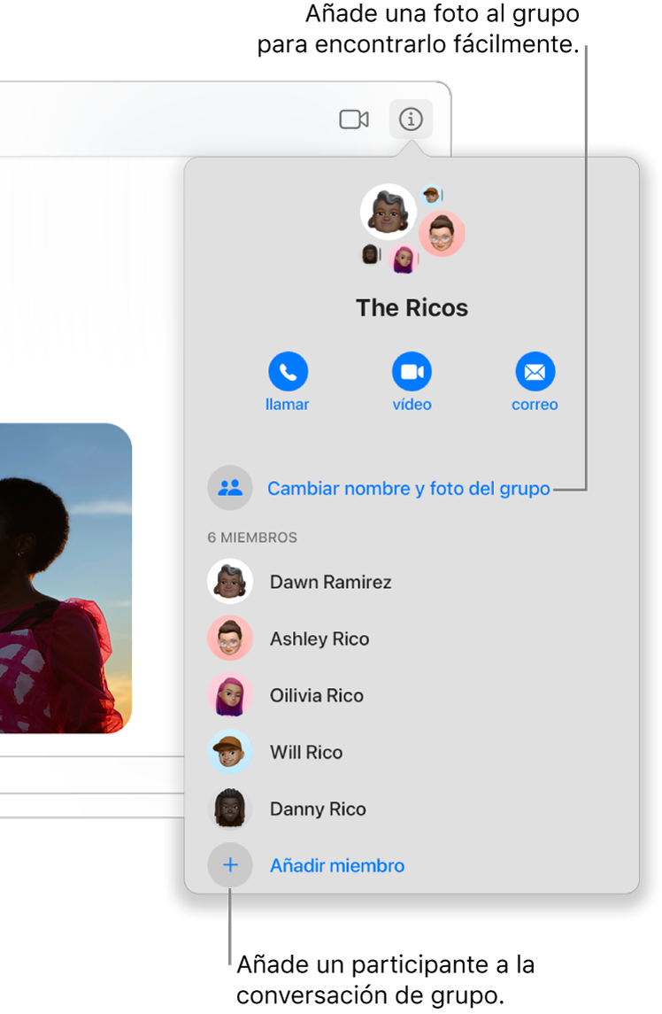 Vista de detalles, que aparece al hacer clic en el botón Detalles en una conversación de grupo. A continuación del último participante de la lista aparece “Añadir miembro”. Puedes cambiar el nombre y la foto del grupo que aparece justo encima de los nombres de los participantes.