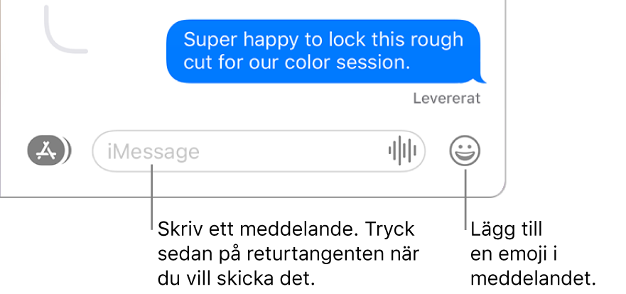 En transkribering i Meddelanden-fönstret med meddelandefältet synligt längst ned i fönstret.