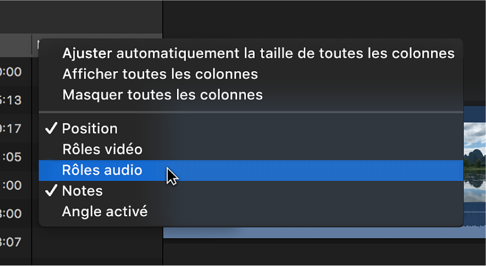 Menu pour personnaliser l’affichage des colonnes dans l’index de la timeline