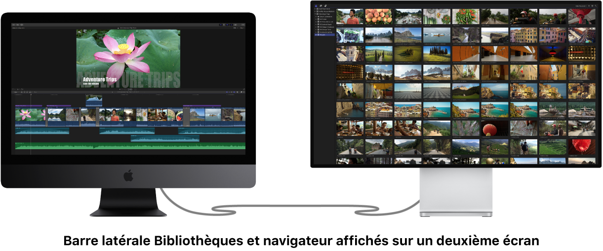 Barre latérale Bibliothèques et navigateur affichés sur un deuxième écran
