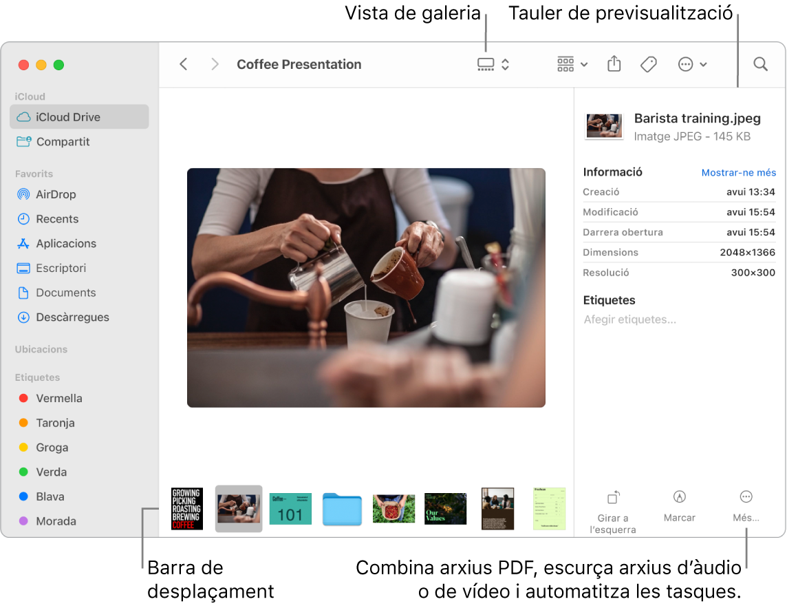 Una finestra del Finder oberta amb la visualització en galeria mostrant una foto gran amb una fila de fotos més petites (la barra d’arrossegament) a sota. A la dreta de la barra d’arrossegament, hi ha els controls per girar, marcar i fer altres accions.