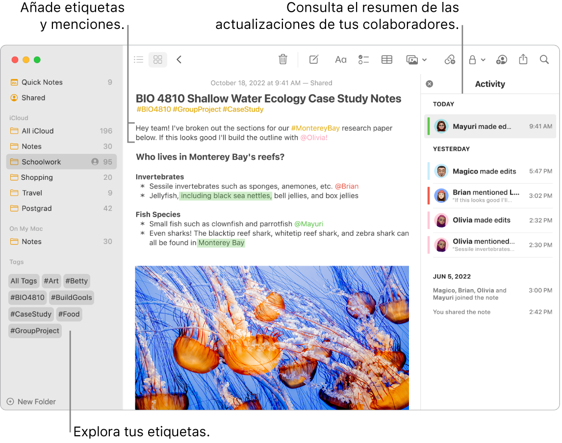 Una ventana de Notas en la vista como galería con una llamada a las etiquetas de la barra lateral. En la nota principal, hay una llamada a una etiqueta y una mención. A la derecha hay una lista de actividades con una llamada que muestra un resumen de las actualizaciones.