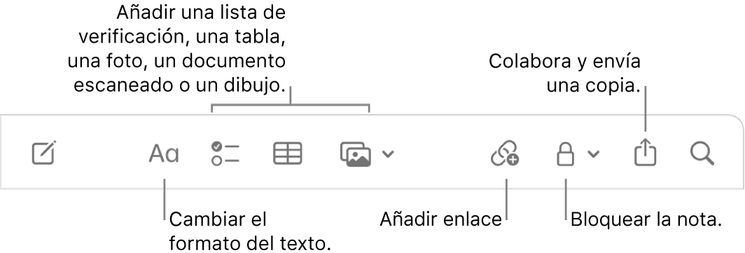 La barra de herramientas de Notas con llamadas a las herramientas de formato de texto, lista de comprobación, tabla, enlace, fotos/contenido multimedia y enviar una copia.